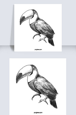 森林线稿免抠元素|黑白线稿鸟类动物手绘元素