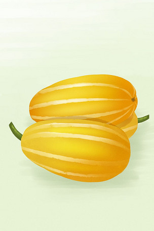 水果黄皮甜瓜写实手绘风格