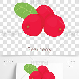 Bearberryվʸͼ