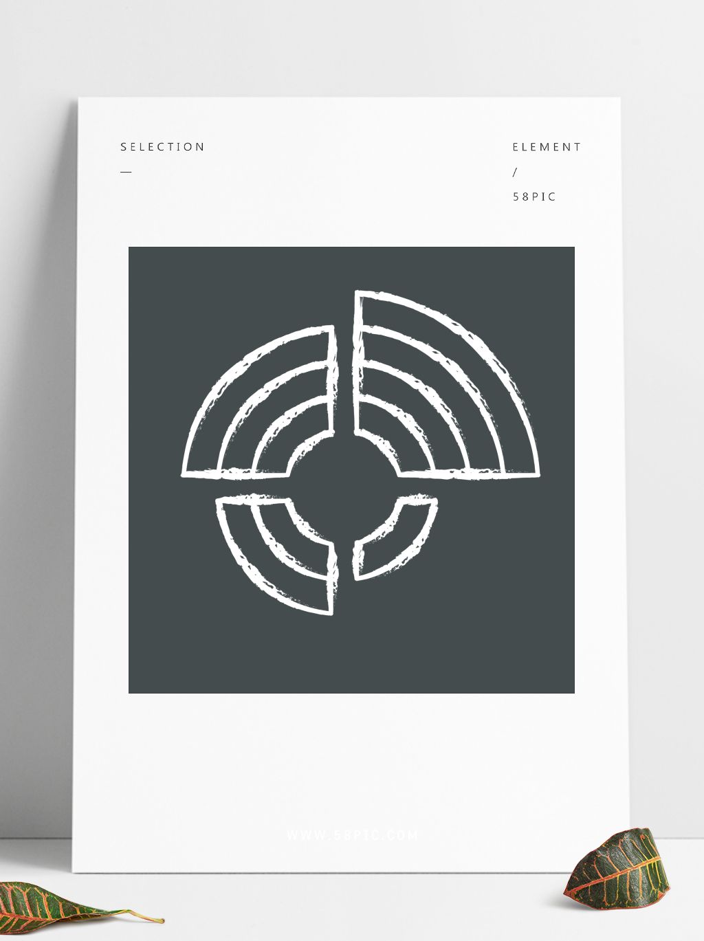 多变量数据蜘蛛图