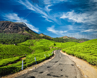 ӡȲ԰֮·Munnarֲ̲԰