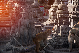 ӵɽϵĺSwayambhunath