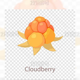 Ұݮͼ-Cloudberry3D