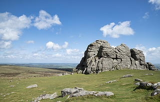 ɰĴգHaytor