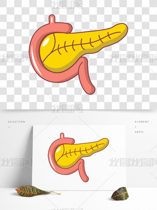卡通风格胰腺图标