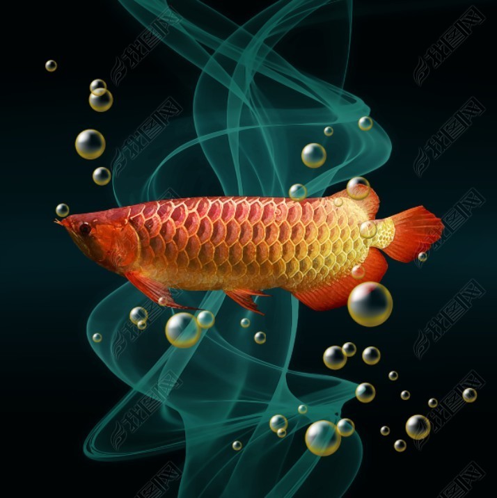 花纹图案现代轻奢抽象金龙鱼年年有鱼北欧简约花纹图案家居数码图案