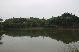 绿色山水自然风景背景图片素材山林中的水池塘