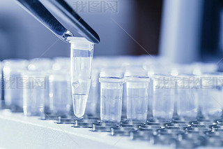 Ϊ pcr dna 