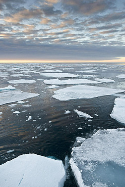 冰浮的风景，包冰的边缘，北冰洋，斯匹次卑尔根，斯瓦尔巴德群岛，斯瓦尔巴德和扬马延，挪威，欧洲