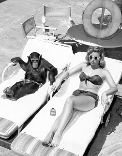 黑猩猩和日光浴女人