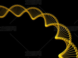  dna 