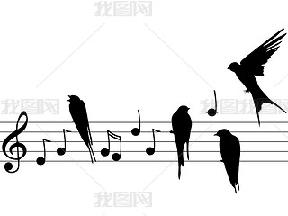  music notes and birds