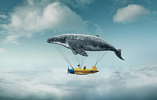 whale with aircraft and two girls over clouds