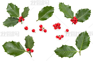 Holly LeesBerries