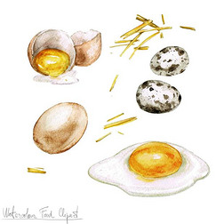 水彩烹饪剪贴画-鸡蛋
