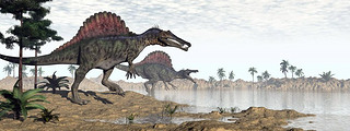 Spinosaurus Dinosaurier in Wste - 3d render