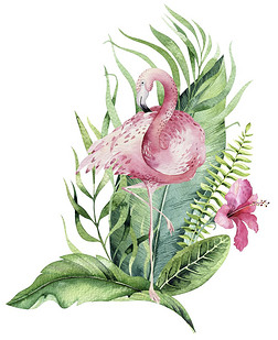 手绘水彩热带鸟类套火烈鸟。异国情调的玫瑰鸟插图, 丛林树, 巴西新潮。完美的面料设计。阿罗哈系列.