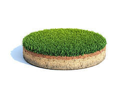 带草坪、生态、地质概念的圆柱形地面横截面、用白色隔离的土壤样品、 3D图解