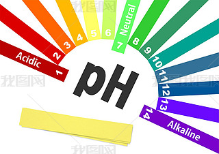 ph ͼ