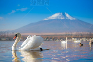 ɫоͰں Yamanaka  Mt. 