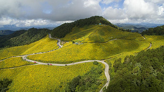 tung bua tong, mae hong son, aerial view.