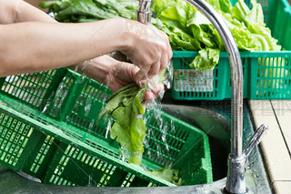 Hand washing leafy vegetable with running water in household sin