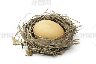 Fresh chicken egg from the nest