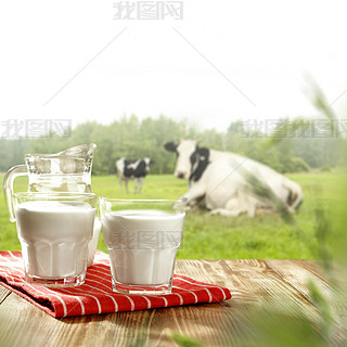 Morning time with rural landscape of cow and milk on table place. 