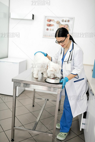 Dark-haired vet iling while watching cute dog eating