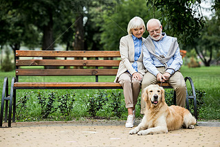 nice senior couple sitting on wooden bench and adorable dog lying nearby on ped sidewalk