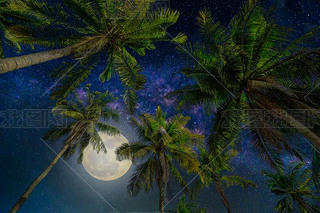 Silhouette coconut palm tree with the full Moon and Milky way galaxy on night sky. (Elements of this