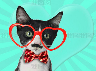 Cute black and white kitten with moustache and bow tie, wearing heart shaped eye glasses for Valenti