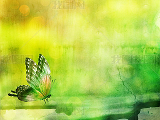 Natural background with butterly. Watercolor