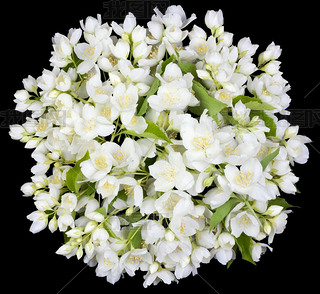 Circle from white jaine flowers