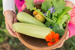 Bowl of freshly picked vegetables in kids' hands