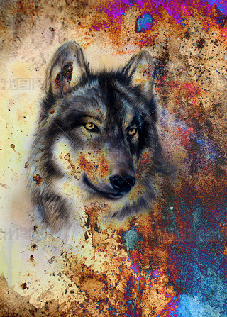 Wolf painting, color abstract effect on background