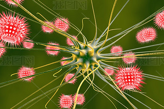 Neuron and viruses, viral encephalitis
