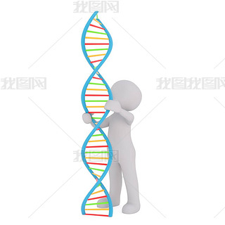 dna Ŵѧѧо