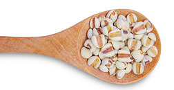 约伯的眼泪或在木勺中的 Coix Lachrymal 是一种非常有营养的麦片。种子富含矿物质、维生素、膳食纤维和必需氨基酸。在线索剪辑路径中