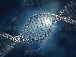  dna ģ͡3d Ⱦ