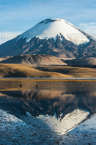 ѩ Parinacota Volcano ں Chungara