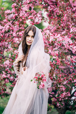 美丽的性感女孩黑发新娘在长婚纱礼服米色, 闭合面纱对头发和看以微笑, 愉快, 在粉红色樱花的背景, 树, 自然,