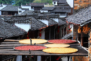 Hot peppers, corns, chrysanthemum flowers, and other crops and harvests are dried on roofs and racks