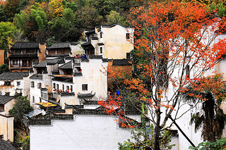 Hot peppers, corns, chrysanthemum flowers, and other crops and harvests are dried on roofs and racks