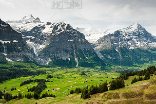 grindelwal ɽĴ