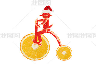 Funny cat on a retro bike. Happy New Year.