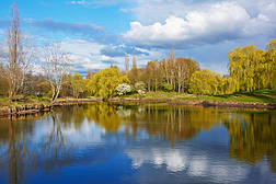 春天的风景-公园里的一条宁静的河, 树木的岸边反映在水中, 天空中乌云密布.