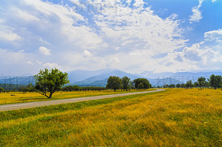  Fagaras ɽǵɽ·