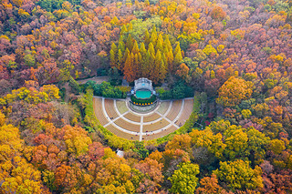 An aerial view of the colorful autumn lees in Zhongshan Park scenic spot in Nanjing city, east Chi