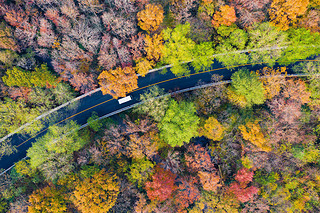 An aerial view of the colorful autumn lees in Zhongshan Park scenic spot in Nanjing city, east Chi